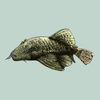 Bristlenose Placo Zipper Hoodie | Teevron