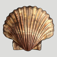 Japanese Scallop Shell Zipper Hoodie | Teevron