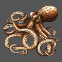 Octopus Zipper Hoodie | Teevron