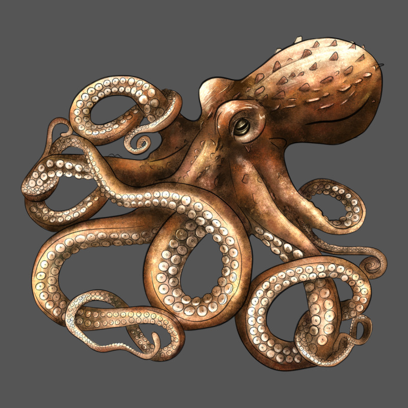 Octopus Zipper Hoodie by LillyAllenDesigns | Teevron