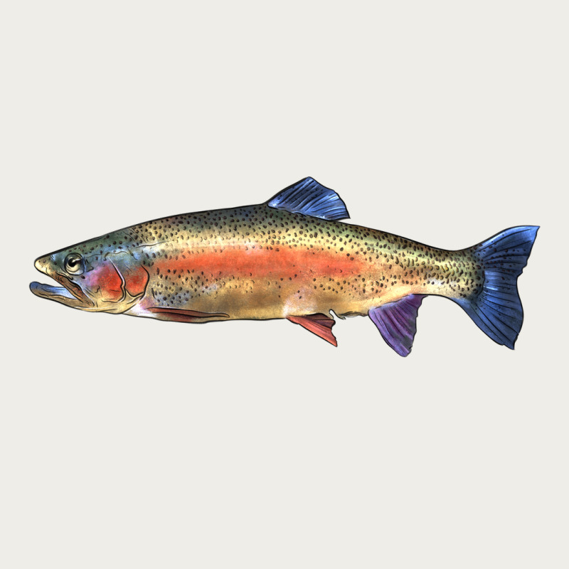 Rainbow Trout Zipper Hoodie by LillyAllenDesigns | Teevron