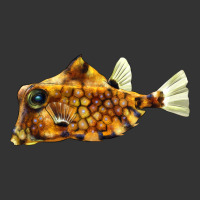 humpback turretfish | Teevron