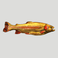 Golden Trout West Virginia Zipper Hoodie | Teevron