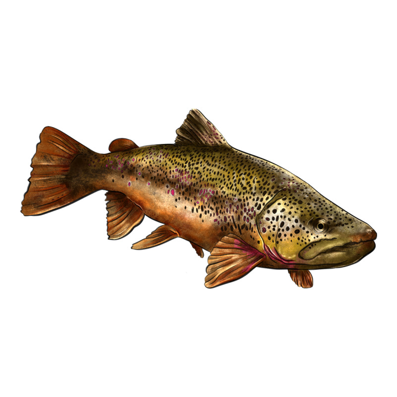 Brown Trout Zipper Hoodie by LillyAllenDesigns | Teevron