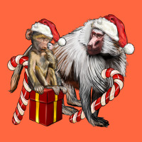 Christmas Baboon Baby And Mama Premium Hoodie | Teevron
