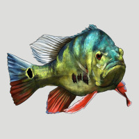 Peacock Bass Illustrations Zipper Hoodie | Teevron