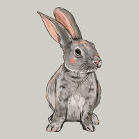 Easter Bunny Heavyweight Hoodie | Teevron