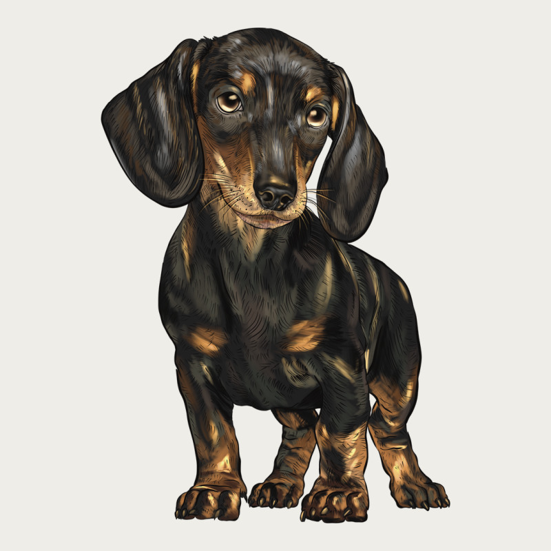 Dachshund Zipper Hoodie by BarkalooDesign | Teevron