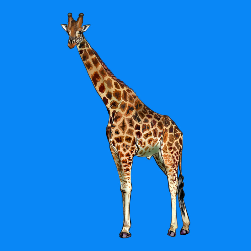 Giraffe Zipper Hoodie by LillyAllenDesigns | Teevron
