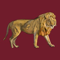 Lion Zipper Hoodie | Teevron