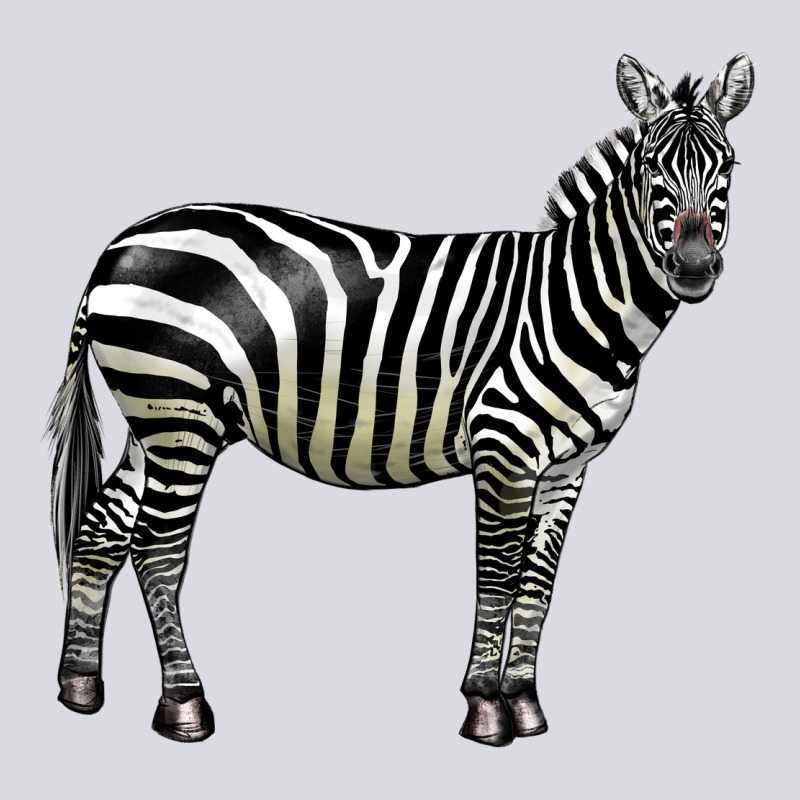 Zebra Zipper Hoodie by LillyAllenDesigns | Teevron