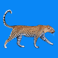 Leopard Zipper Hoodie | Teevron
