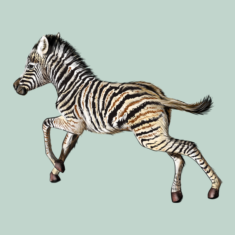 Baby Zebra Zipper Hoodie by LillyAllenDesigns | Teevron