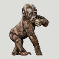 Baby Gorilla Zipper Hoodie | Teevron