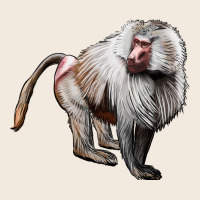 Baboon Zipper Hoodie | Teevron