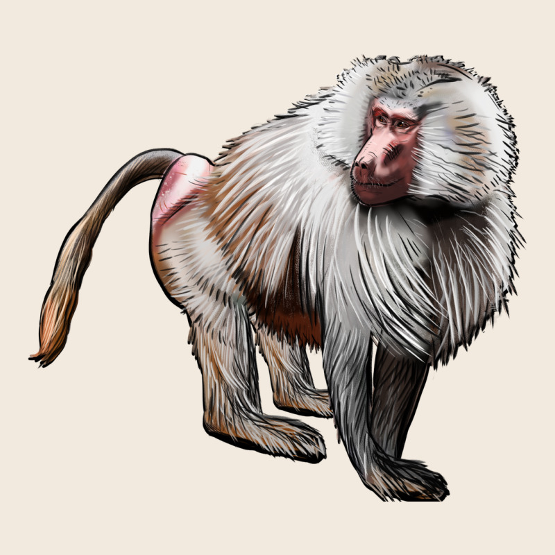Baboon Zipper Hoodie by LillyAllenDesigns | Teevron