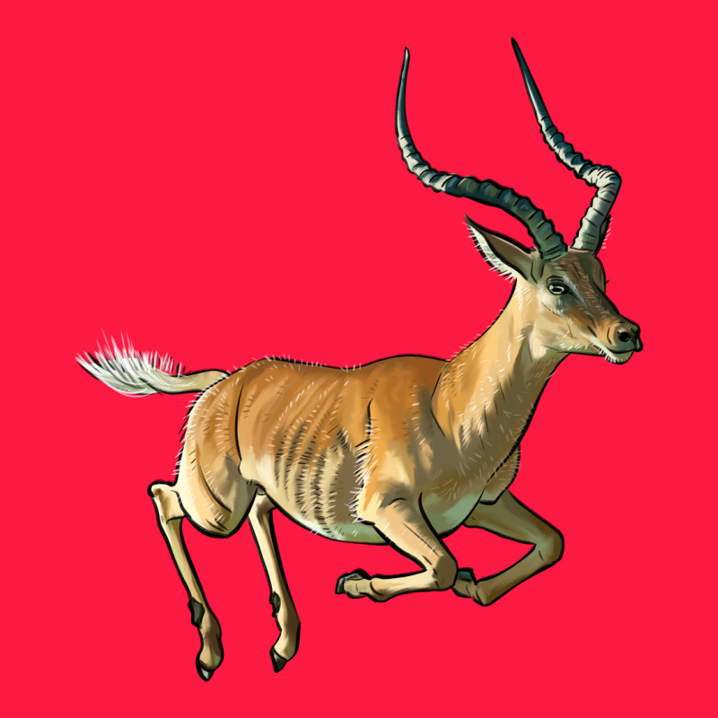 Impala Antelope Illustrations Zipper Hoodie by LillyAllenDesigns | Teevron