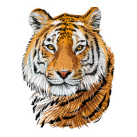 Tiger Head | Teevron