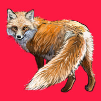 Red Fox Zipper Hoodie | Teevron