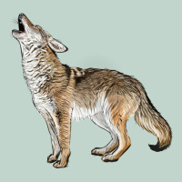 Howling Coyote Zipper Hoodie | Teevron