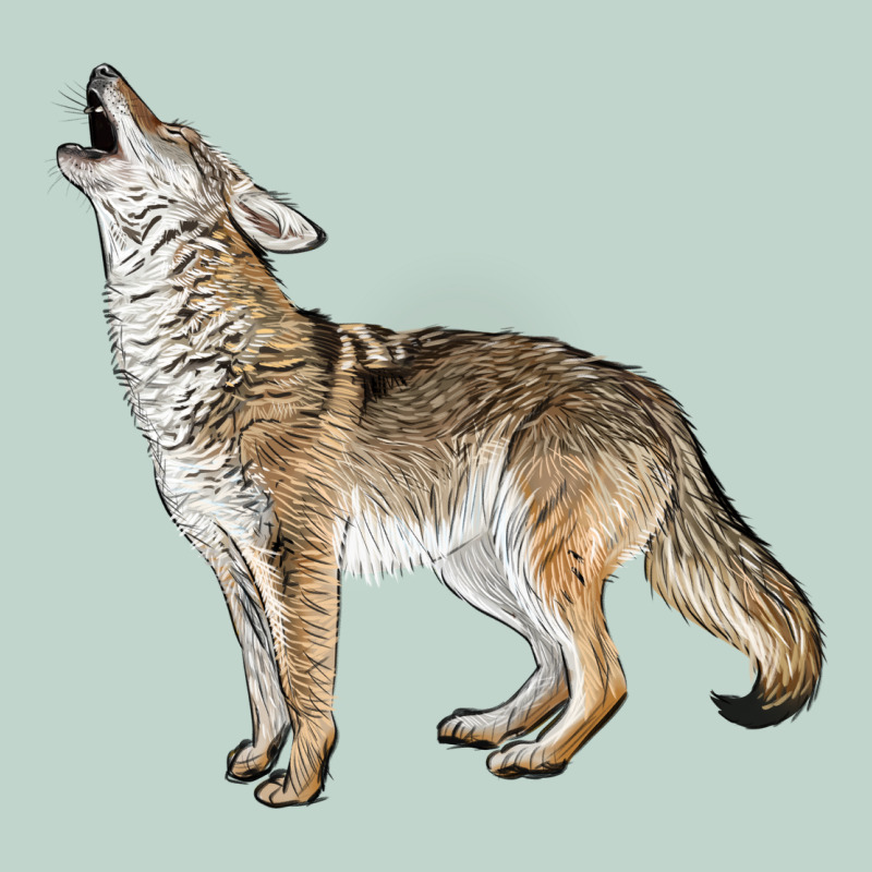 Howling Coyote Zipper Hoodie by LillyAllenDesigns | Teevron