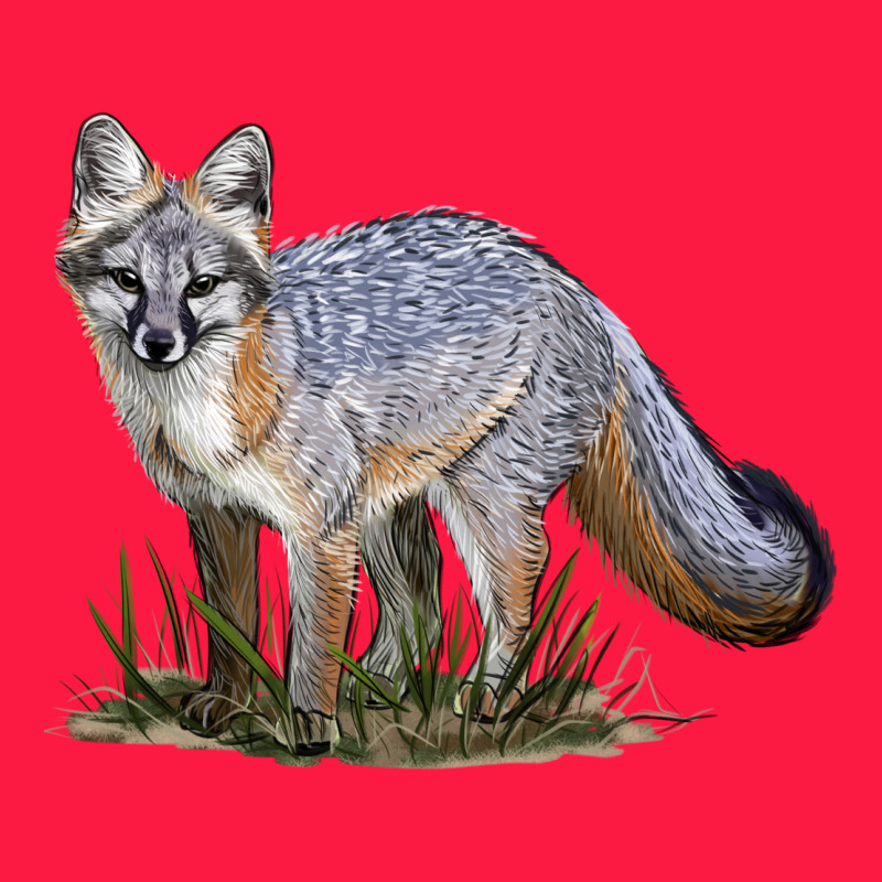 Gray Fox Zipper Hoodie by LillyAllenDesigns | Teevron