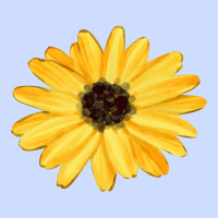 Sunflower Urban Heavy Tee | Teevron
