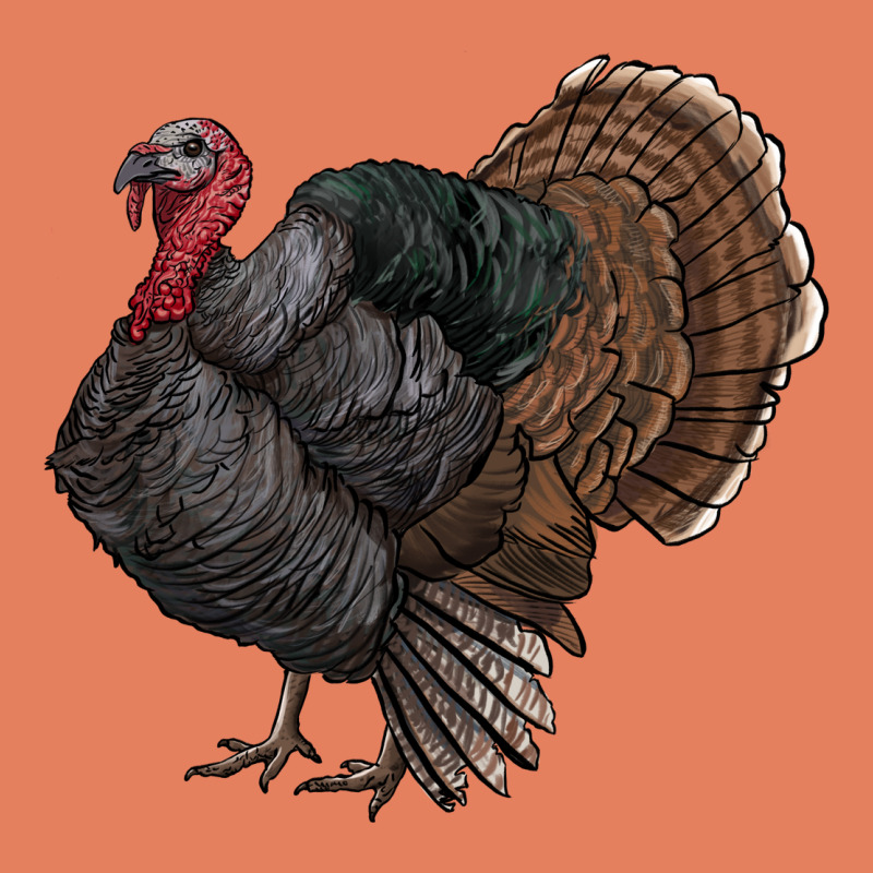 Gobble Classic Tee by RanaPortraitStore | Teevron