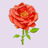 All A Twitter Rose Premium Hoodie | Teevron