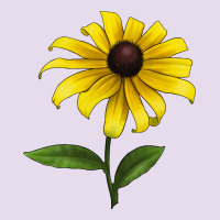 Black Eyed Susan Flower Premium Hoodie | Teevron