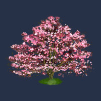 Flowering Dogwood Tree Premium Hoodie | Teevron