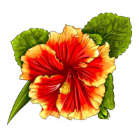 Hawaiian Hibiscus Flower | Teevron