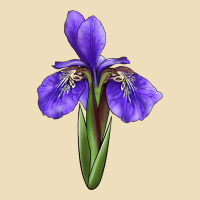 Iris Flower Premium Hoodie | Teevron