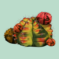 Gymnocalycium Variegated Cactus Premium Hoodie | Teevron