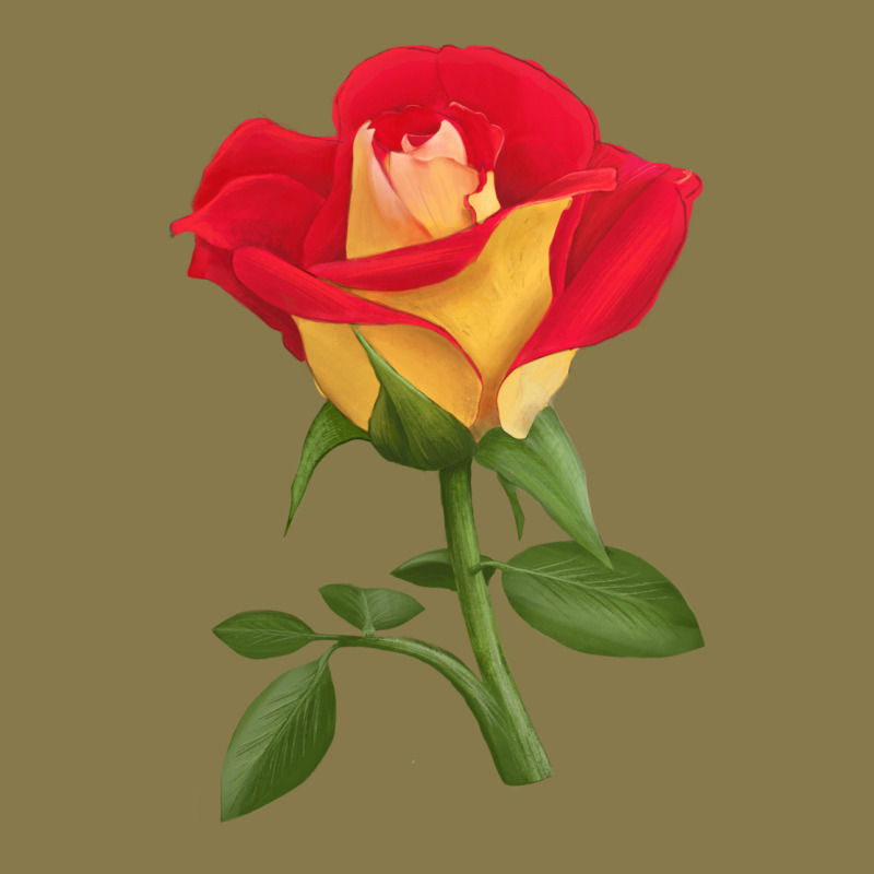 Ketchup And Mustard Rose Premium Hoodie by LillyAllenDesigns | Teevron