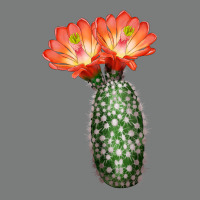 King Cup Cactus Premium Hoodie | Teevron