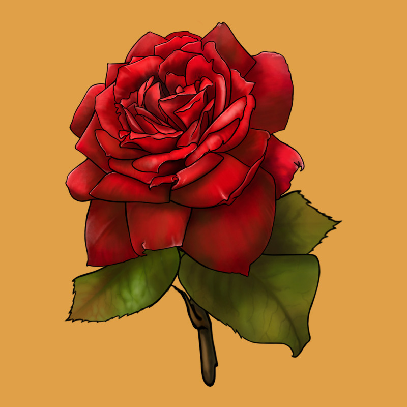 Oklahoma Rose Illustrations Premium Hoodie by LillyAllenDesigns | Teevron