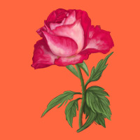 Love At First Sight Rose Premium Hoodie | Teevron