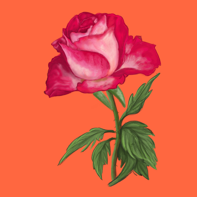 Love At First Sight Rose Premium Hoodie by LillyAllenDesigns | Teevron