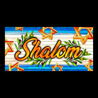 Shalom With Olive Branch Ladies Tee | Teevron