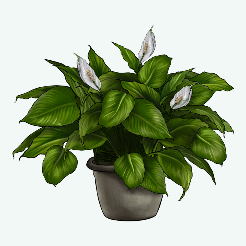 Peace Lily Premium Hoodie by LillyAllenDesigns | Teevron