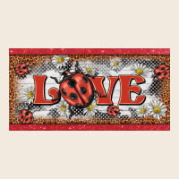 Love Ladybug    License Plate Template Zipper Hoodie | Teevron