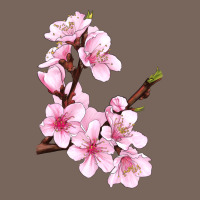 Peach Blossom Illustrations Premium Hoodie | Teevron