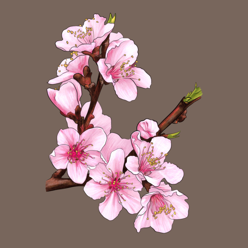 Peach Blossom Illustrations Premium Hoodie by LillyAllenDesigns | Teevron