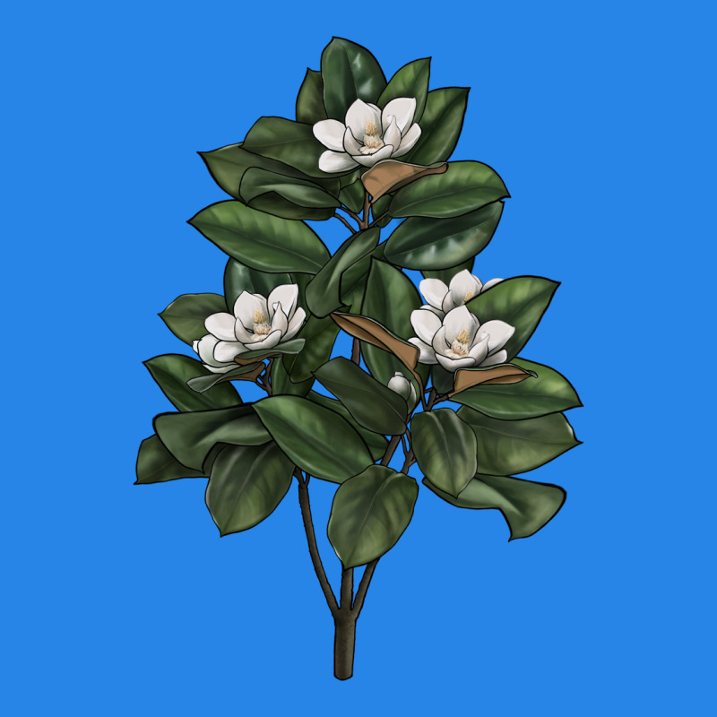 Magnolia Flower Illustrations Premium Hoodie by LillyAllenDesigns | Teevron