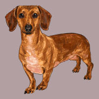 Dachshund Vintage Hoodie | Teevron