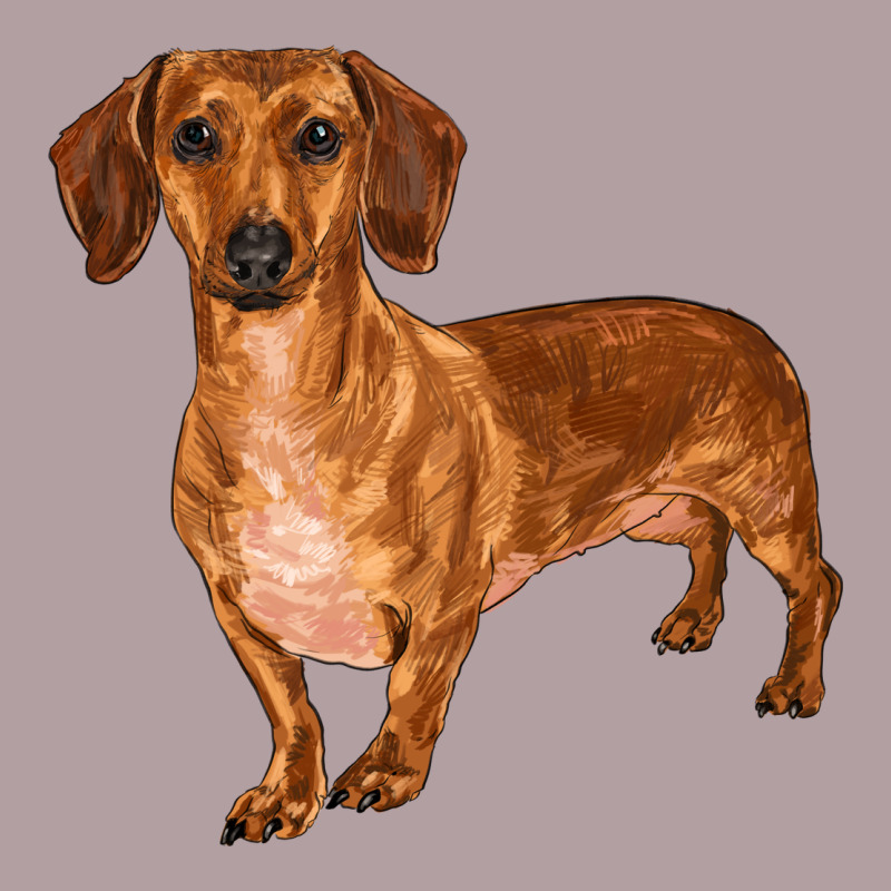 Dachshund Vintage Hoodie by RanaPortraitStore | Teevron