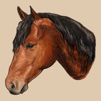 Horse Heavyweight Sweatshirt | Teevron