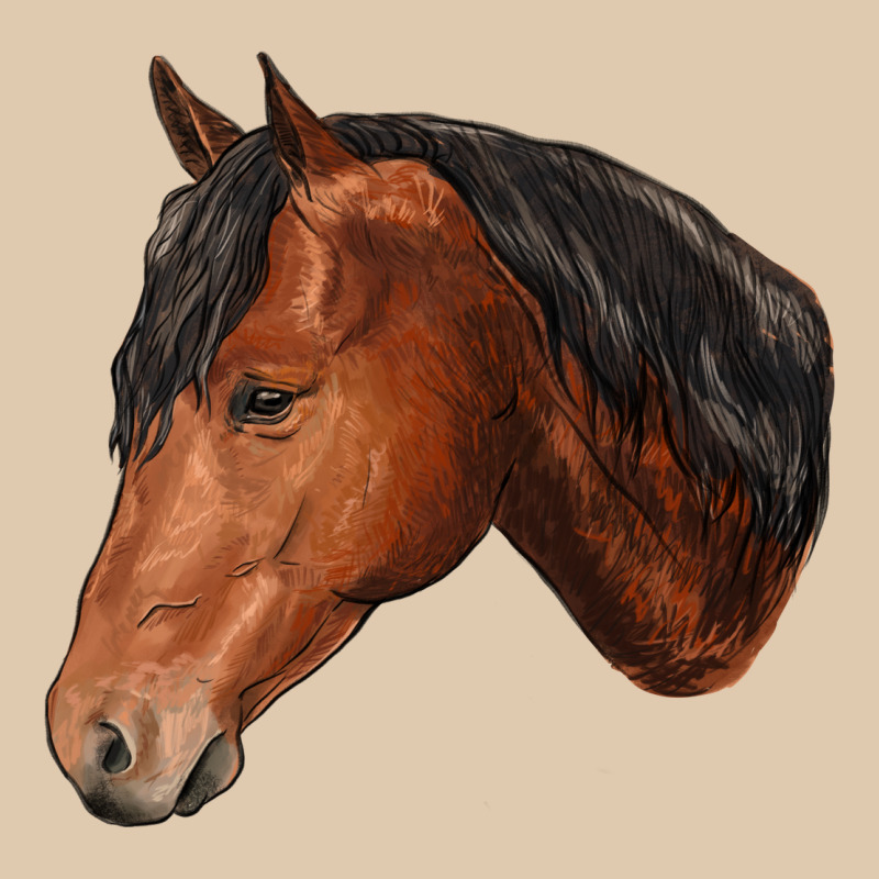 Horse Heavyweight Sweatshirt by RanaPortraitStore | Teevron