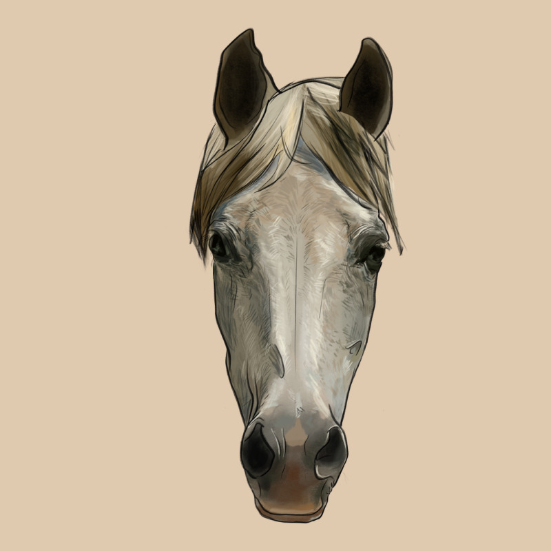 Horse Head Heavyweight Sweatshirt by RanaPortraitStore | Teevron